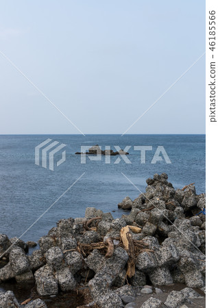 Shakotan peninsula tetrapod 46185566