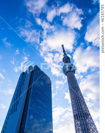 Tokyo Sky Tree and Tokyo Sky Tree East Tower 46185785