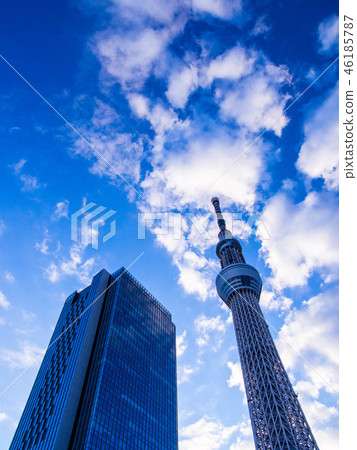 Tokyo Sky Tree and Tokyo Sky Tree East Tower 46185787