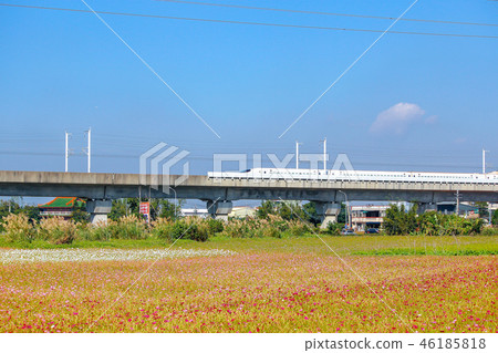 Taiwan, Taoyuan, Huahai, sunflower, train, blue sky, white clouds Taiwan, Taoyuan, Huahai, sunflower, train, blue sky, white clouds 46185818