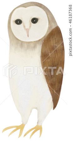 Hand-painted animal bird owl Hand-painted animal bird owl 46187368