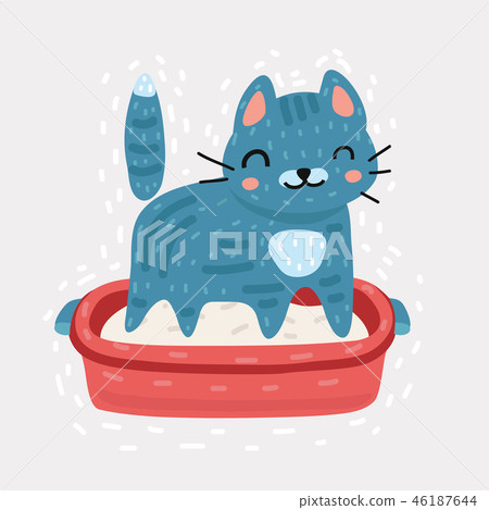 Small gray kitten in plastic litter box. Small gray kitten in plastic litter box. 46187644