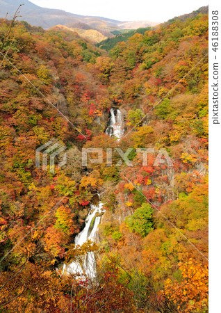 錦錦錦錦瀑布 46188308