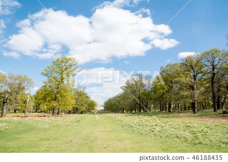 Under the bright blue sky and clouds in the early spring, the sprouting trees that stand in the park and the white-walled buildings that look far away 46188435