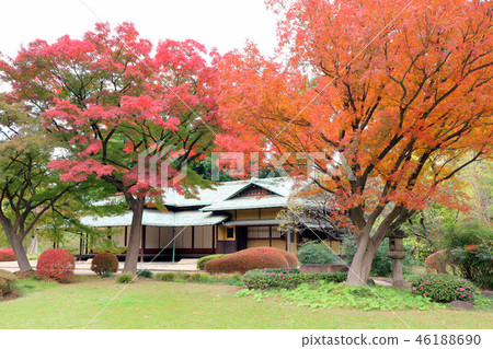 Imperial Palace Higashi Gyoen, Suwa's Tea House and Niomaru Garden Autumn leaves (Dec) Chiyoda-ku, Tokyo 46188690