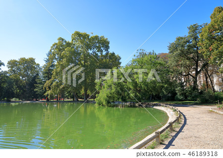 Boulogne forest in Paris 46189318