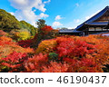 Tofuku-ji | Tofuku-ji 46190437
