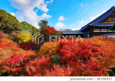 Tofuku-ji | Tofuku-ji 46190437