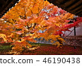 Tofuku-ji | Tofuku-ji 46190438