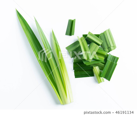 fresh green pandan screwpine leaves isolated 46191134