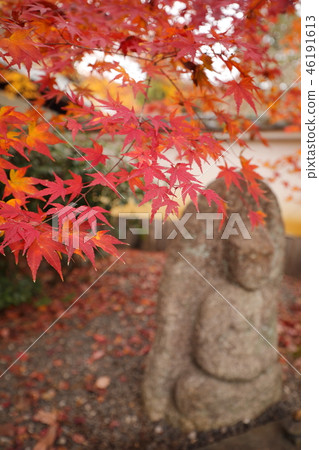 Autumn leaves | autumn leaves 46191613