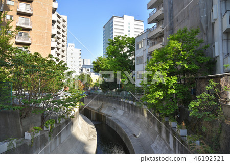 澀谷河 澀谷河 46192521