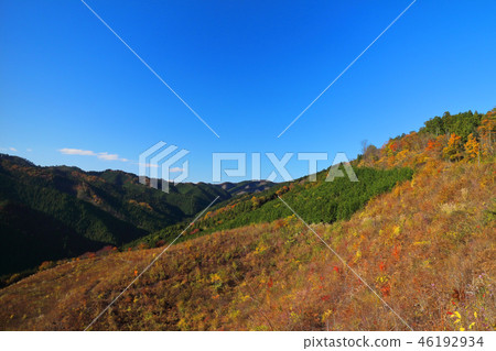 浪漫的茨城(故鄉很遠,我記得。右邊的斜坡是山。 浪漫的茨城(故鄉很遠,我記得。右邊的斜坡是山。 46192934