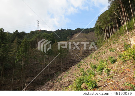 Sunrise mountain Sunrise mountain 46193089