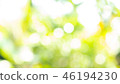 Green bokeh defocus art abstract blur background 46194230