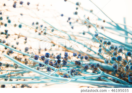 花背景 花背景 46195035