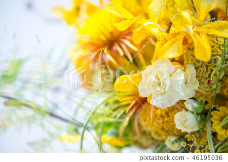 花背景 花背景 46195036