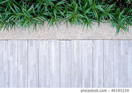 Brown wood background or texture 46195239