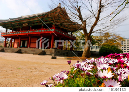 濟州島， 46196183