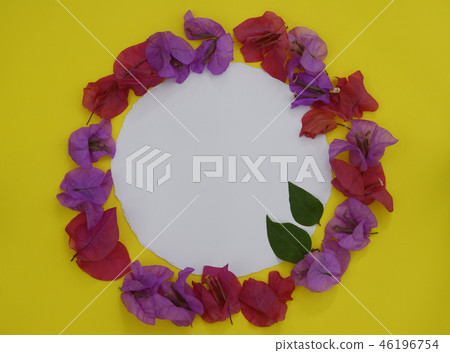 flower frame, space for text on yellow background 46196754