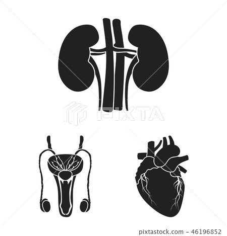 Internal organs of a human black icons in set... - Stock Illustration ...