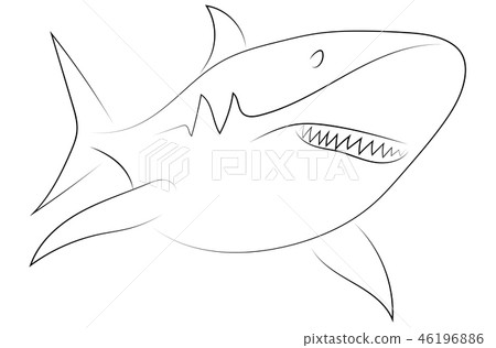 Black line shark on white background. Shark. Sketch style. Vecto Black line shark on white background. Shark. Sketch style. Vecto 46196886