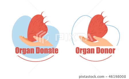 Organ Donor, Heart Donation Flat Vector Icons Set 46198008