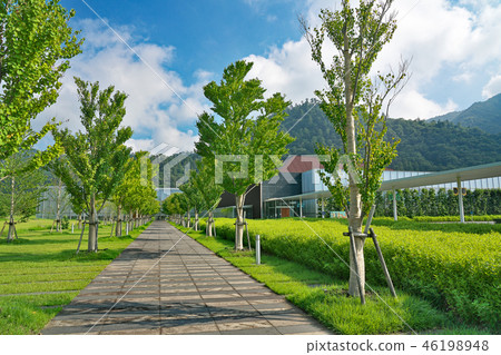 [Shimane Museum of Ancient Izumo History] Kitsuki Higashi, Oshamachi, Izumo City, Shimane Prefecture 46198948