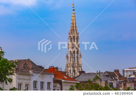 Brussels City Hall in Brussels, Belgium 46199404