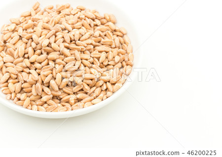 Spelled Wheat（Farro）：斯佩爾德（法羅） 46200225