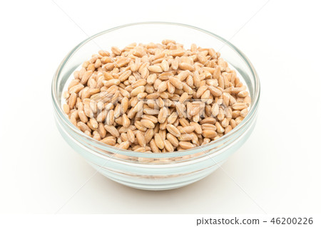Spelled Wheat(Farro):斯佩爾德(法羅) Spelled Wheat(Farro):斯佩爾德(法羅) 46200226