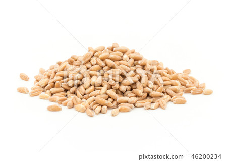 Spelled Wheat (Farro): Spelt (Farro) Spelled Wheat (Farro): Spelt (Farro) 46200234