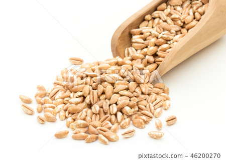 Organically grown spelled wheat (Farro): Organic Spelt (Farro) 46200270