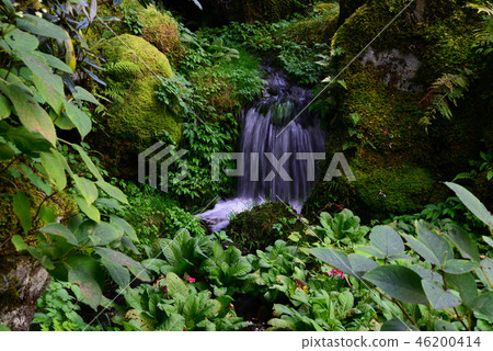 我去了日光多摩澤皇宮紀念公園＃32 46200414