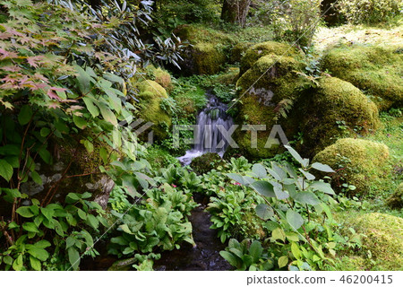 我去了日光多摩澤神社紀念公園＃31 46200415