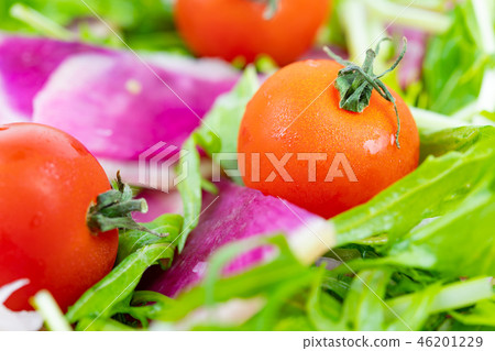 Red radish and Mizuna salad Red radish and Mizuna salad 46201229