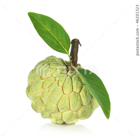 Custard apple isolated on white background,annona 46201323