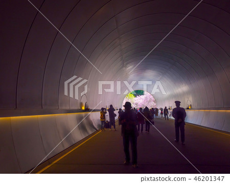 美穗博物館隧道和櫻花 46201347