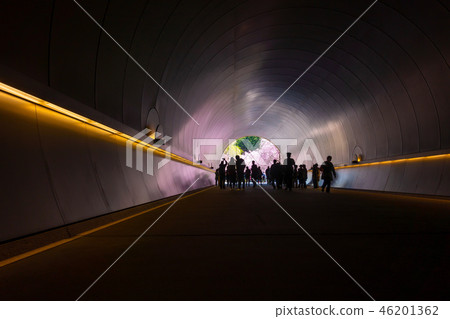 Miho Museum tunnel and cherry blossoms Miho Museum tunnel and cherry blossoms 46201362