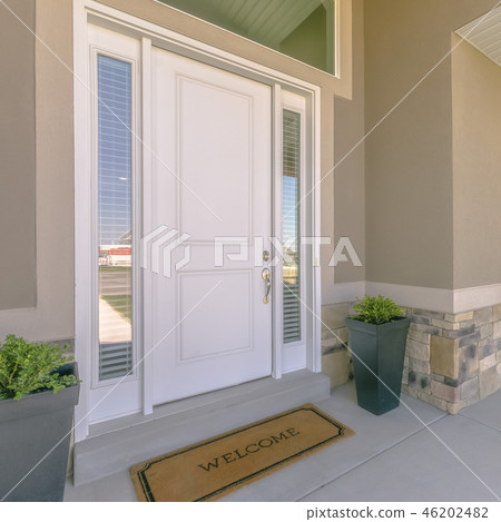 Front door with glass panels and potted plants 46202482