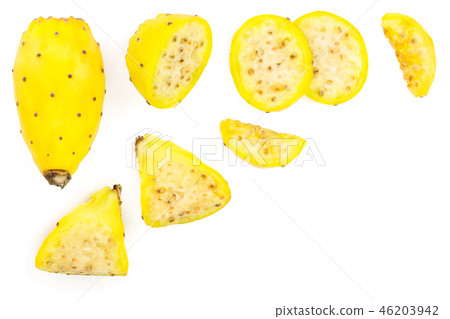 yellow prickly pear or opuntia isolated on a white background with copy space for your text. Top yellow prickly pear or opuntia isolated on a white background with copy space for your text. Top 46203942