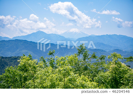 5月中旬，從近江原台眺望高尾山頂和富士山 46204546