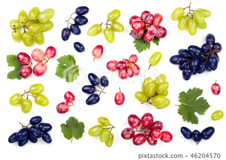 green pink and blue grapes with leaves isolated on the white background. Top view. Flat lay pattern green pink and blue grapes with leaves isolated on the white background. Top view. Flat lay pattern 46204570