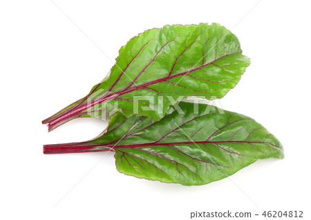 fresh beet leaf isolated on white background. Top view. Flat lay pattern 46204812