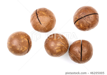 unshelled macadamia nuts isolated on white background. Top view. Flat lay pattern unshelled macadamia nuts isolated on white background. Top view. Flat lay pattern 46205005