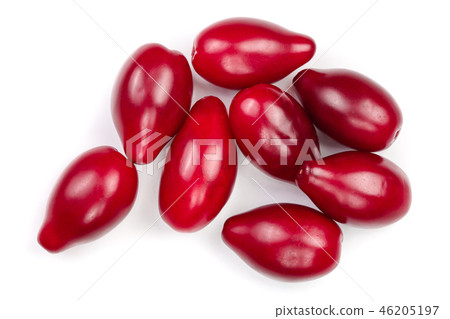 Red berries of cornel or dogwood isolated on white background. Top view. Flat lay Red berries of cornel or dogwood isolated on white background. Top view. Flat lay 46205197