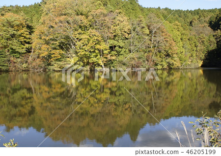 秋天的顏色風景05 秋天的顏色風景05 46205199