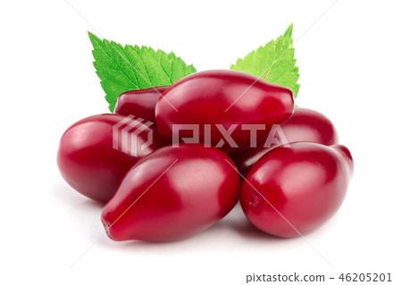 Red berries of cornel or dogwood with leaf isolated on white background Red berries of cornel or dogwood with leaf isolated on white background 46205201