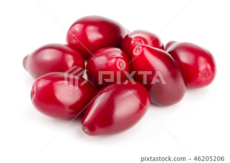 Red berries of cornel or dogwood isolated on white background Red berries of cornel or dogwood isolated on white background 46205206