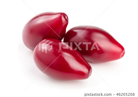 Red berries of cornel or dogwood isolated on white background Red berries of cornel or dogwood isolated on white background 46205208